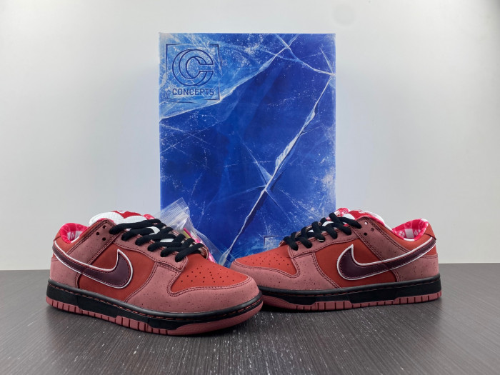 Nike DUNK LOW PREMIUM SB